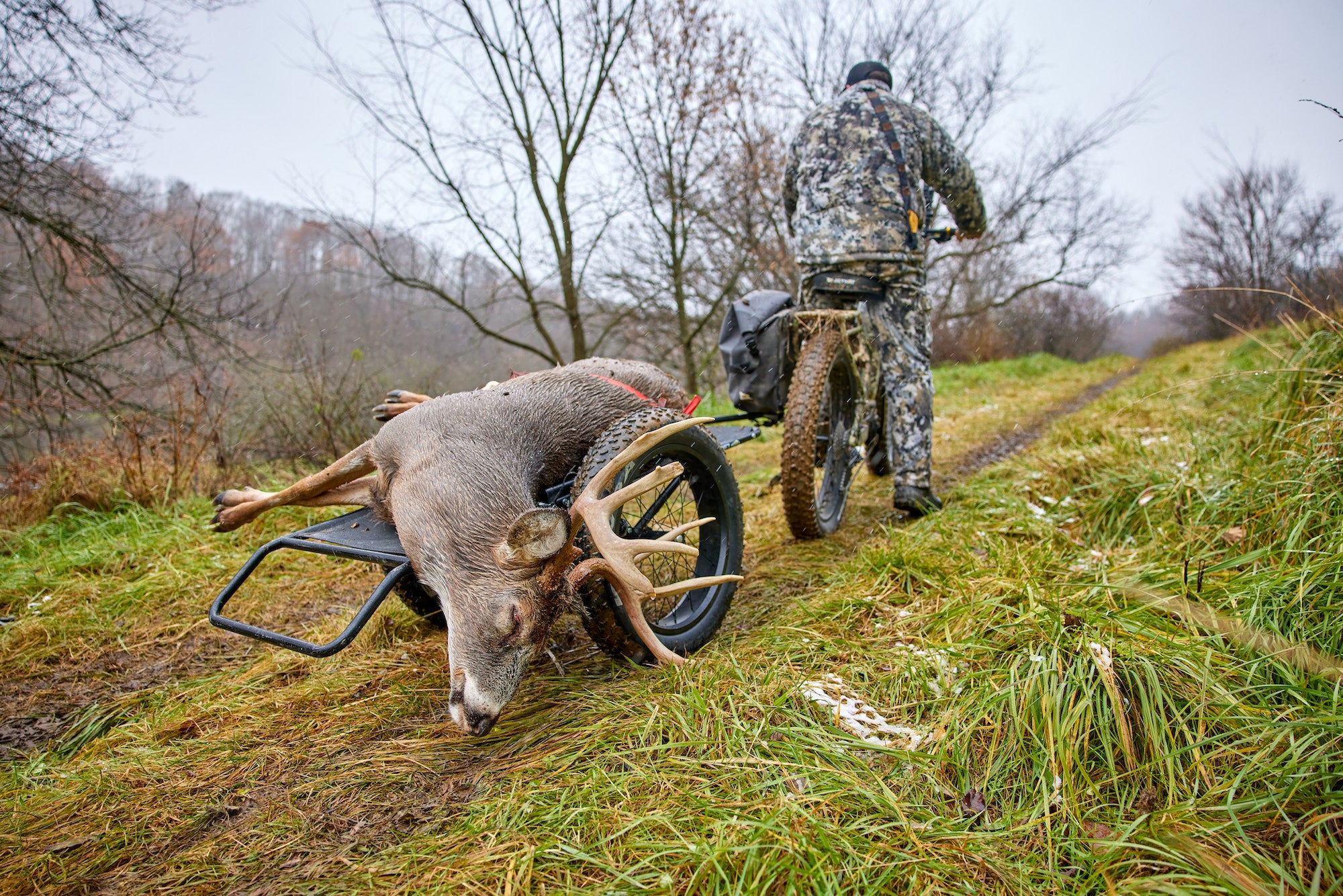 Hunting