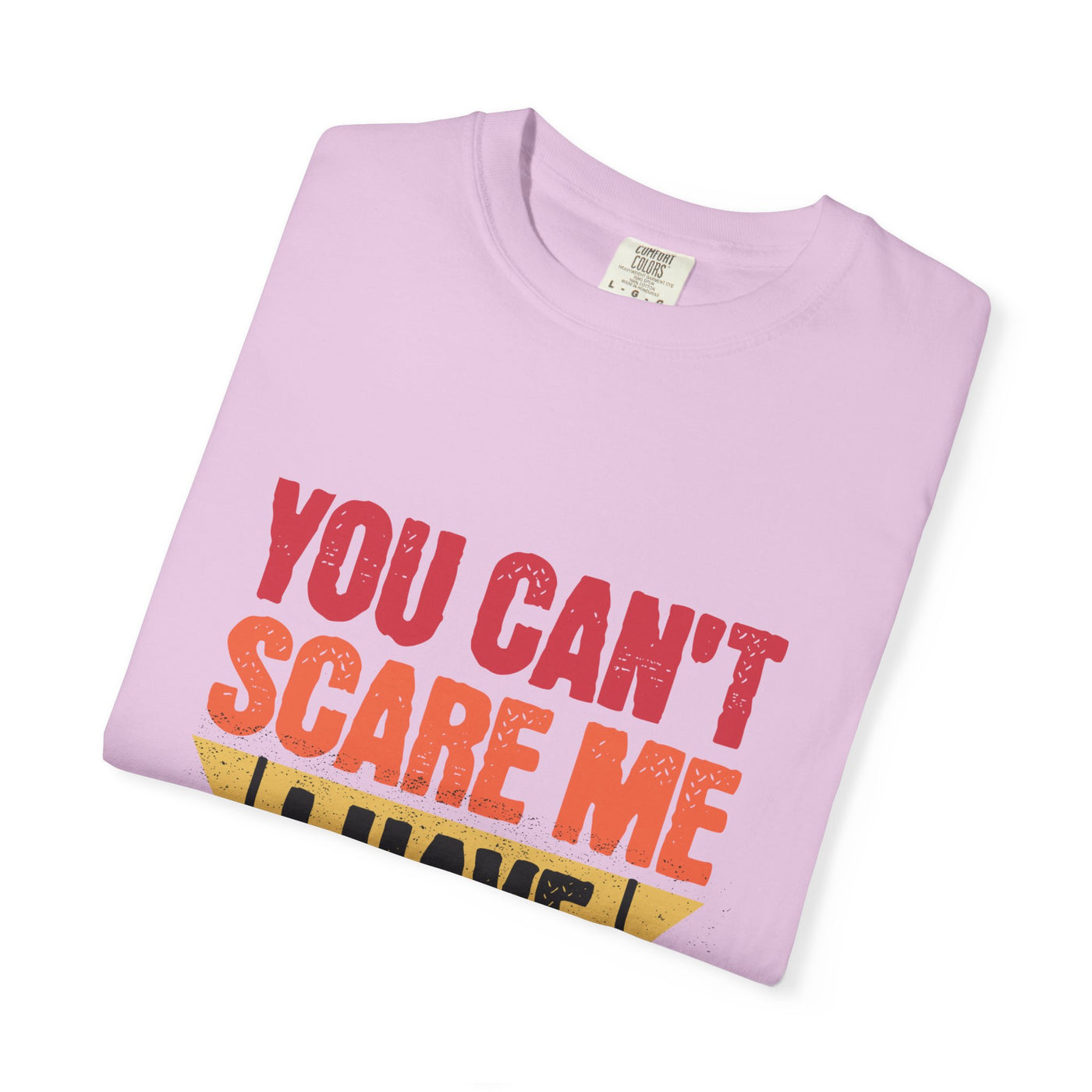 Funny Parent T-Shirt, You Can't Scare Me I Have Kids, Gift for Moms, Dads, Family Reunion, Humor Tee, Birthday Present